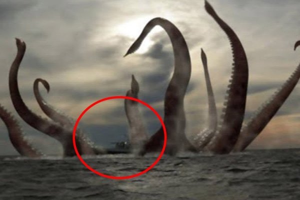 Kraken даркнет переходник