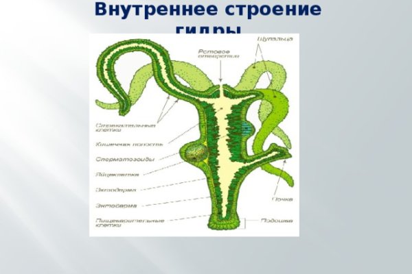 Кракен нарколог